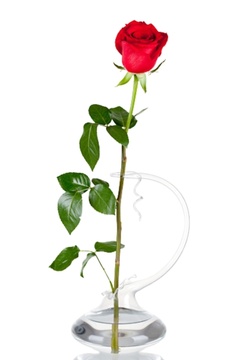 Váza na jednu květinu bez decoru