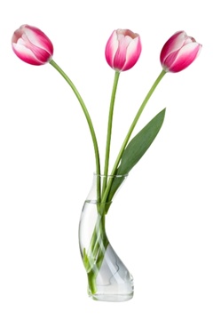 Váza Dancer s květinou - jaro