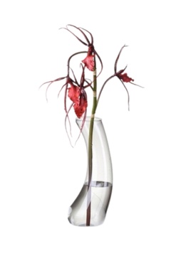 Váza Dancer s květinou