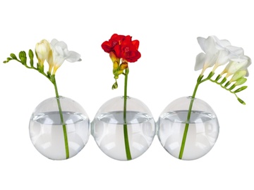 Váza Trio s květy různých barev